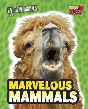 Paperback Marvelous Mammals Book