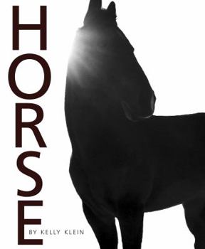 Hardcover Horse Book