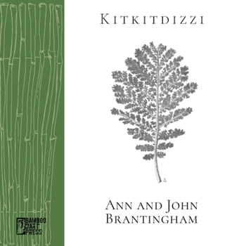 Paperback Kitkitdizzi: A Non-Linear Memoir of the High Sierra Book