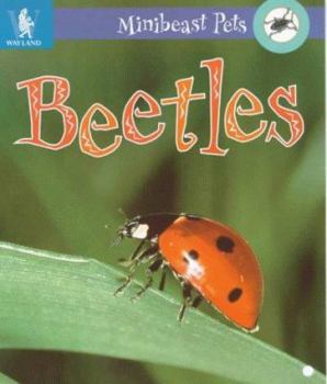 Paperback Beetles (Minibeast Pets) Book