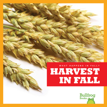 Harvest in Fall - Book  of the What Happens in Fall?