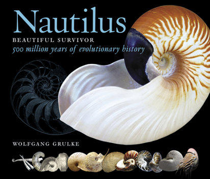 Hardcover Nautilus: Beautiful Survivor -- 500 Million Years of Evolutionary History Book