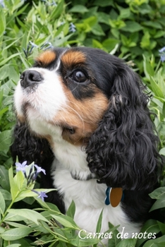 Paperback Carnet de notes: Cahier personnalis? - Lignes, Marge et Ent?te - 100 pages - Format A5 - Animaux - Chiens - Cavalier King Charles [French] Book