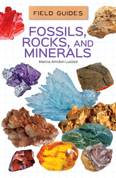Library Binding Fossils, Rocks, and Minerals Book