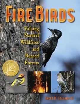 Hardcover Fire Birds Book