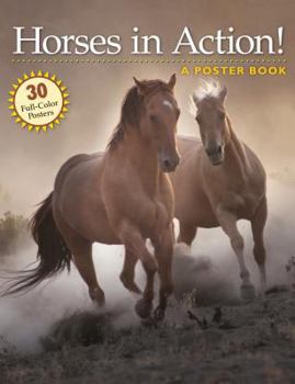 Paperback Horses in Action!: A Poster Book