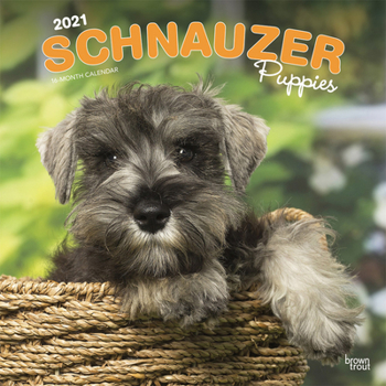 Calendar Schnauzer Puppies 2021 Square Book