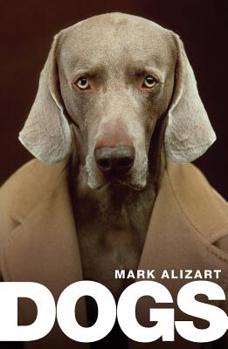 Hardcover Dogs: A Philosophical Guide to Our Best Friends Book
