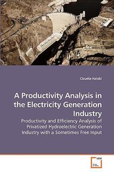 Paperback A Productivity Analysis in the Electricity Generation Industry Book