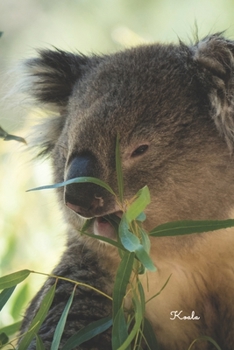 Koala: Notizbuch / Tagebuch / Reisetagebuch Koala Australien - DIN A5 120 Seiten punktiert / Punkteraster - Geschenk Koalabär (German Edition)