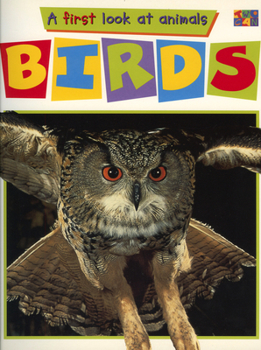 Paperback Birds Book