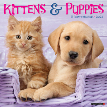 Calendar Kittens & Puppies 2025 12 X 12 Wall Calendar Book