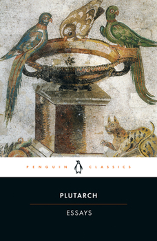 Paperback Essays Book