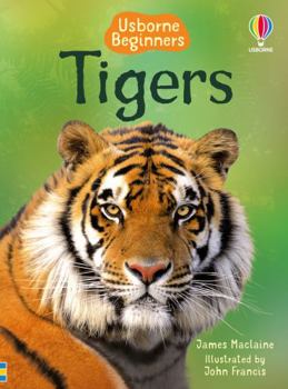 Tigers - Book  of the Usborne Beginners