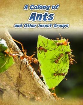 Hardcover A Colony of Ants: And Other Insect Groups Book