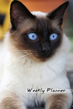 Weekly Planner: Siamese Cat Lovers Daily Planner 52 Weeks Journal Schedule Organizer