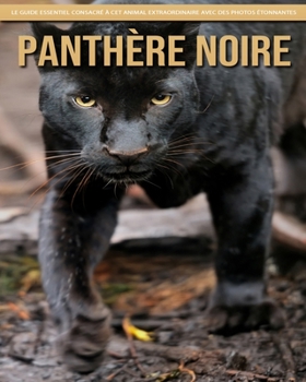 Panthère Noire: Le Guide Essentiel Consacré à Cet Animal Extraordinaire avec des Photos Étonnantes