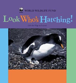 Hardcover Look Who's Hatching! Book