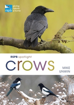 Paperback Rspb Spotlight Crows Book