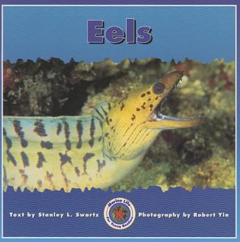 Paperback Eels Book