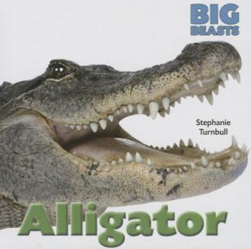 Alligator - Book  of the Big Beasts