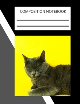 Composition Notebook, Notebooks are important: 110 Ruled Pages (8.5 x 11 in): College Ruled Blank Lined Cute Notebooks for Girls Teens Kids School Writing Notes Journal (8.5 x 11 in)