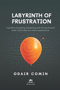 Paperback Labyrinth of Frustration: A guide to accepting, processing, and moving forward when reality does not match expectations. Book