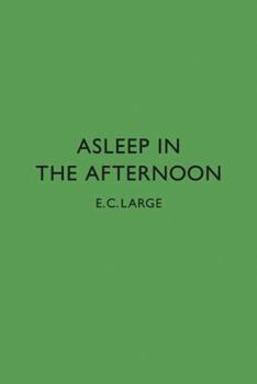 Hardcover Asleep in the Afternoon Book