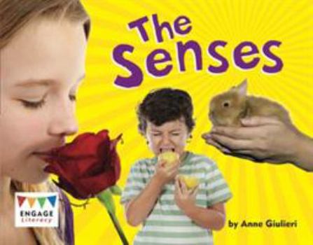 Paperback Senses Book