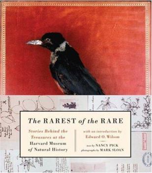 Hardcover The Rarest of the Rare: Stories Behind the Treasures at the Harvard Museum of Natural History Book