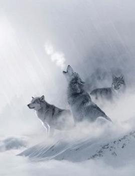 White Wolf Composition Notebook, College Ruled : 100 Sheets / 200 Pages, 9-3/4 X 7-1/2