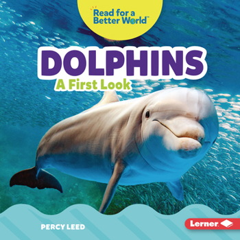 Library Binding Dolphins: A First Look Book