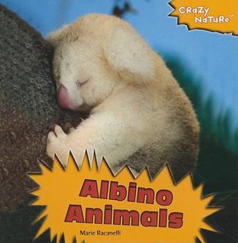 Paperback Albino Animals Book