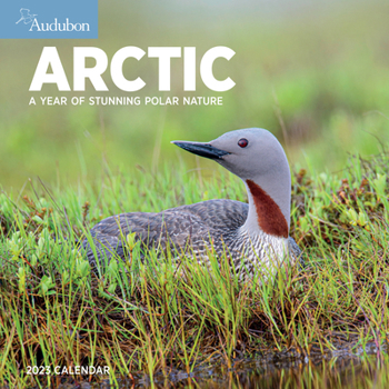 Calendar Audubon Arctic Wall Calendar 2023: A Year of Stunning Polar Nature Book
