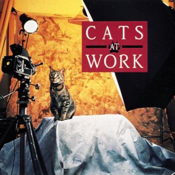 Hardcover Cats at Work: My Point of View Book