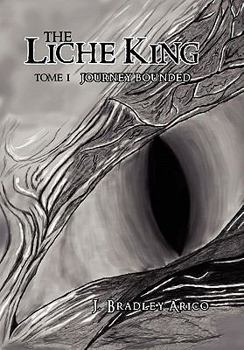 Paperback The Liche King Book