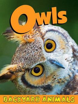 Hardcover Owls (Backyard Animals) Book