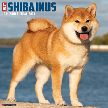 Calendar Just Shiba Inus 2023 Wall Calendar Book
