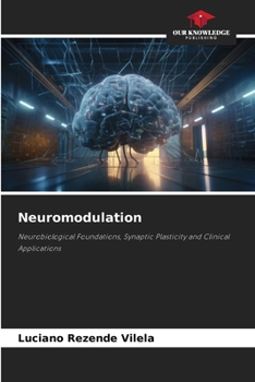 Paperback Neuromodulation Book