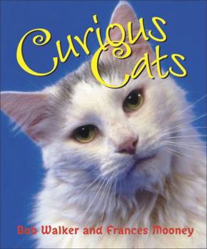 Hardcover Curious Cats Book