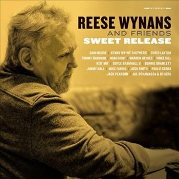 Vinyl Sweet Release (2 LP) Book