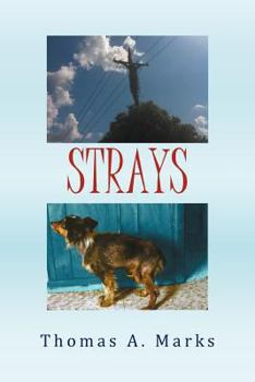 Paperback Strays Book