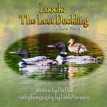 Paperback Loock: The Lost Duckling: A True Story Book