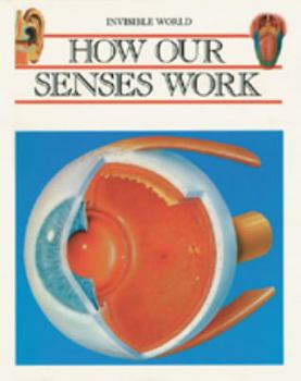 Library Binding How Our Senses Work (Invis Wld) Book