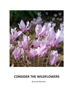 Paperback Consider the Wildflowers Book