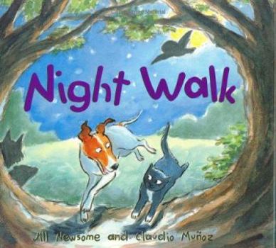 Hardcover Night Walk Book