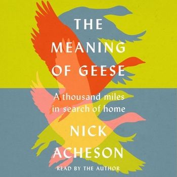 MP3 CD The Meaning of Geese: A Thousand Miles in Search of Home Book