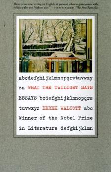 Paperback What the Twilight Says: Essays Book