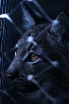 My Precious Companion Cat Journal: Cute Journal & Blank Notebook with Wildlife, Pets & Animals related Theme | School, College & Work Journal For ... | Beautiful  Portrait Gift For Cat  Lovers