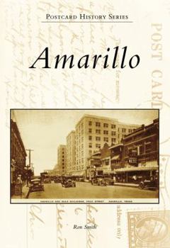 Paperback Amarillo Book